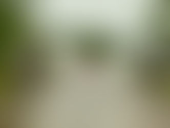 Day 10 - Oklahoma Storm Troopers