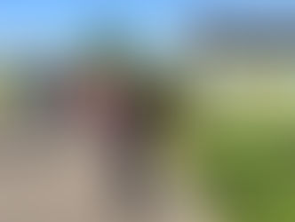 Day 16 - 'Chicago Blues'