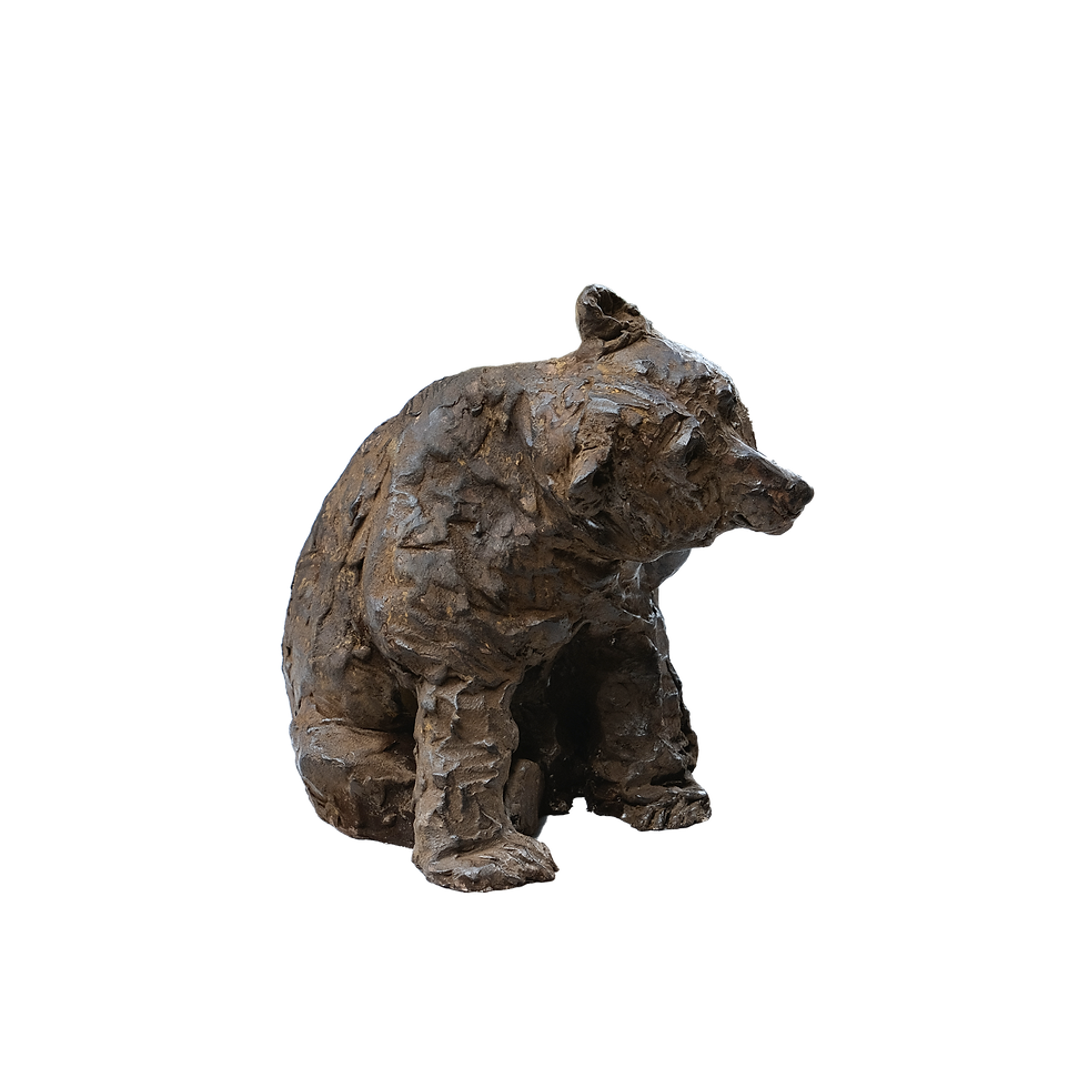Miniature : OURS BRUN QUI SE GRATTE