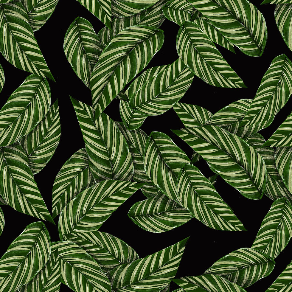 background-3386570_1280.jpg