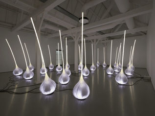 Işığı Kontrol Eden Yaratıcılar