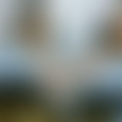 Anna Zimmermann | Designer & Artist