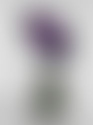 Batten and Kamp | Artist Duo