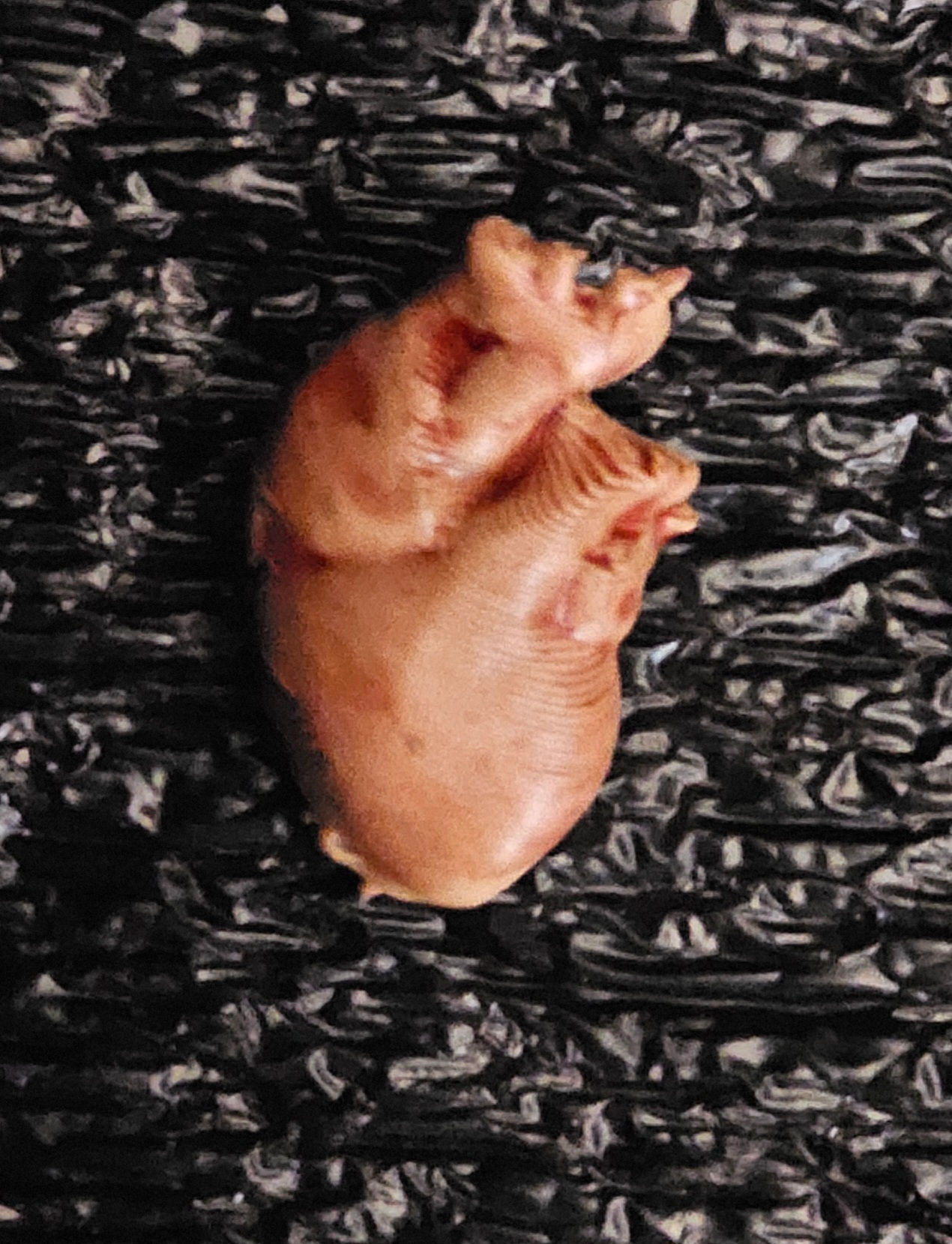 Tiny hearts - hand painted 3d printed 