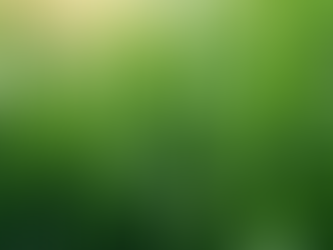 Top-rated mowing and pressure washing services in Hunter Valley