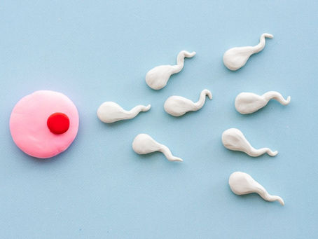 Illustration of sperm cells approaching a pink egg on a blue background—representing the process of conception, egg donation, and sperm donation in fertility treatments
