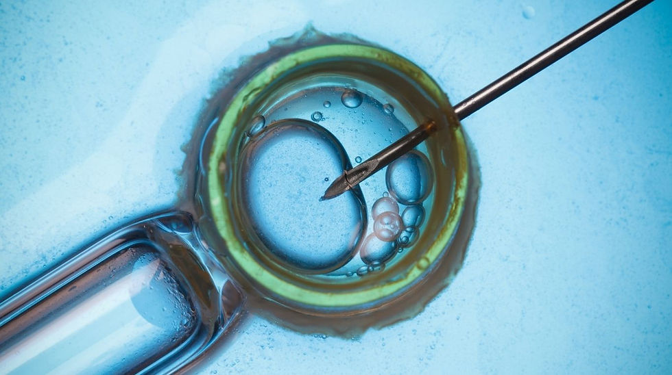 Image of an IVF treatment, much like the one that occurred with this 30 year old embryo