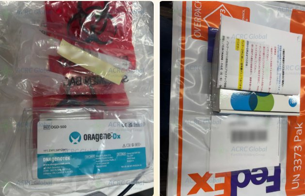 Genetic Testing Preparations with Support from the Japanese Team