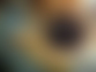 WALTZ - EYES CARE SERVICES