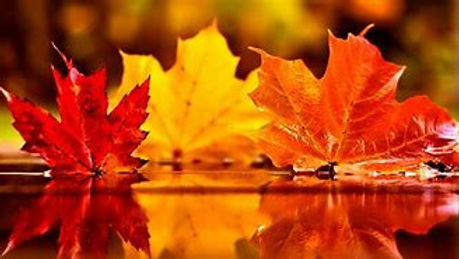 Affiliate Fall Forum & Leadership Day