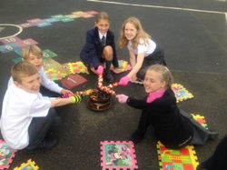 fire pit 2
