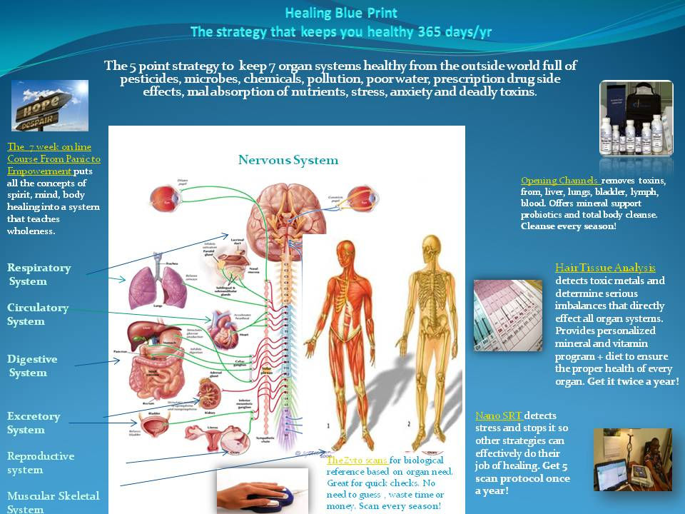 Organ Systems & Functions