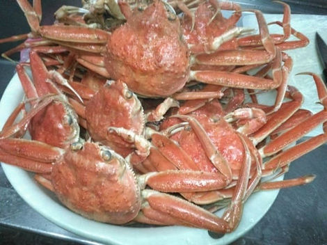 冬の味覚!地物の香箱カニ