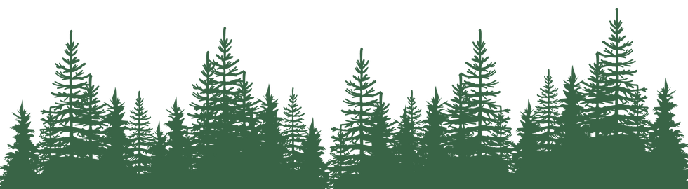 forest.png