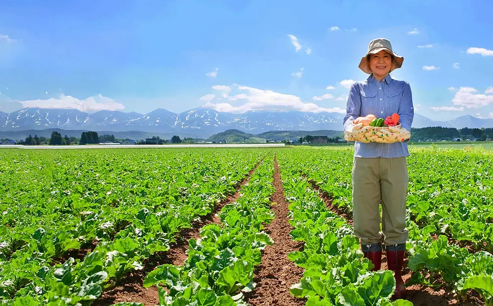 ホームページがリニューアル！