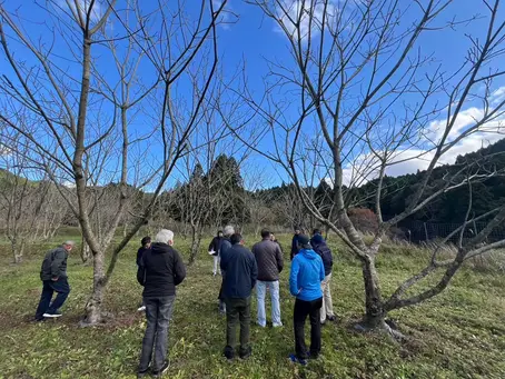 山女原圃場視察(和ぐるみ栽培)