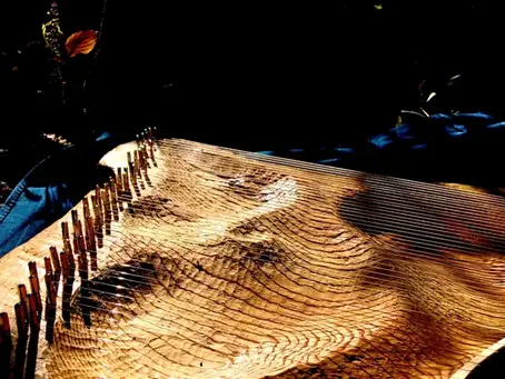 「木と芸術による癒し」のプロジェクト、本格始動しました！