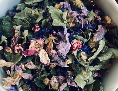 Frauenheilkräuter Heilkräuter Wildkräuter, Flumserberg