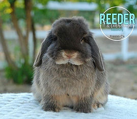 We had a cooler evening yesterday so we