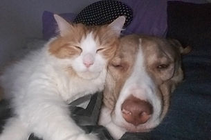 Sullivan and Henry Sleeping