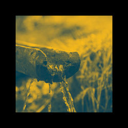 LP_cover # water