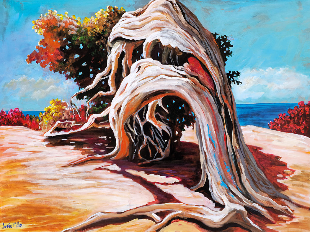 Subtilités, par Josée Miller