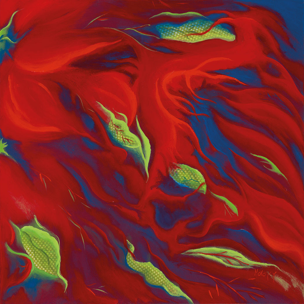 Mystérieuses semences, par Christine Morency