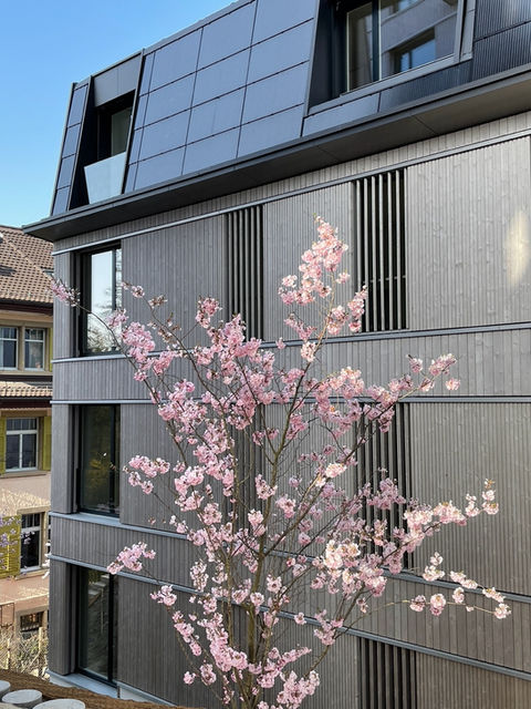 A 2022 Neubau energieautarkes Wohnen Zürich.jpeg