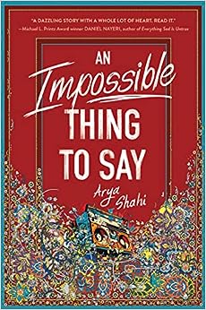 Novel in Verse-An Impossible Thing to Say