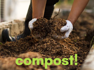 Compost (and keep food waste out of landfills!)