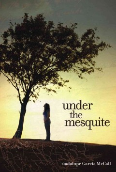 Novel in Verse