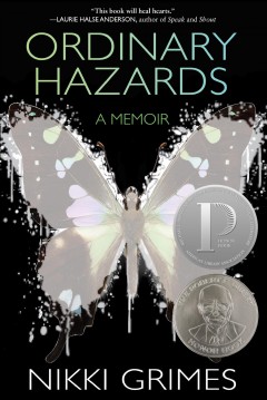 Ordinary Hazards-Nonfiction