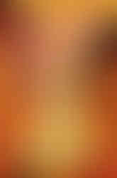 Somewhere Between Bitter and Sweet