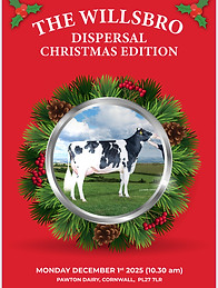 willsbro cat dec 25.jpg