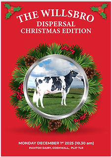 willsbro cat dec 25.jpg