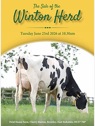 winton cover .jpg