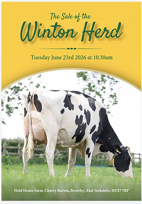 winton cover .jpg