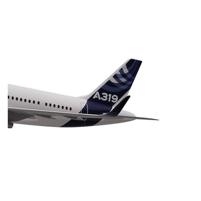 縮圖：Executive A319 1:100 CFM engine new sharklets scale model