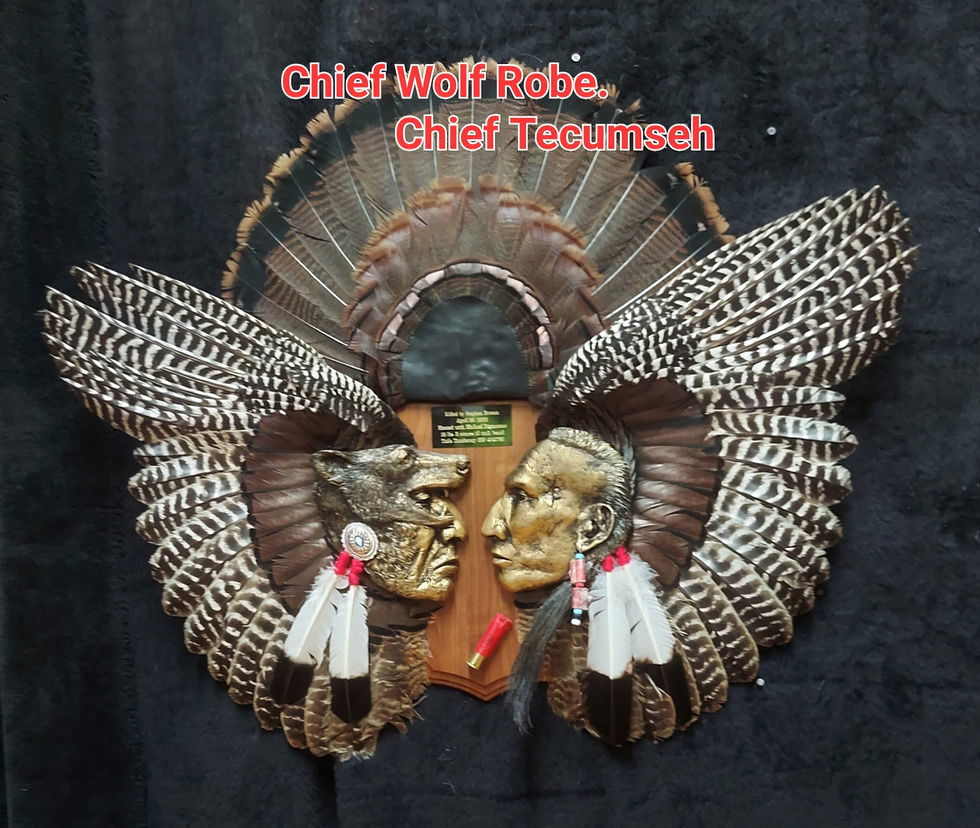 Thumbnail: Tecumseh with kit
