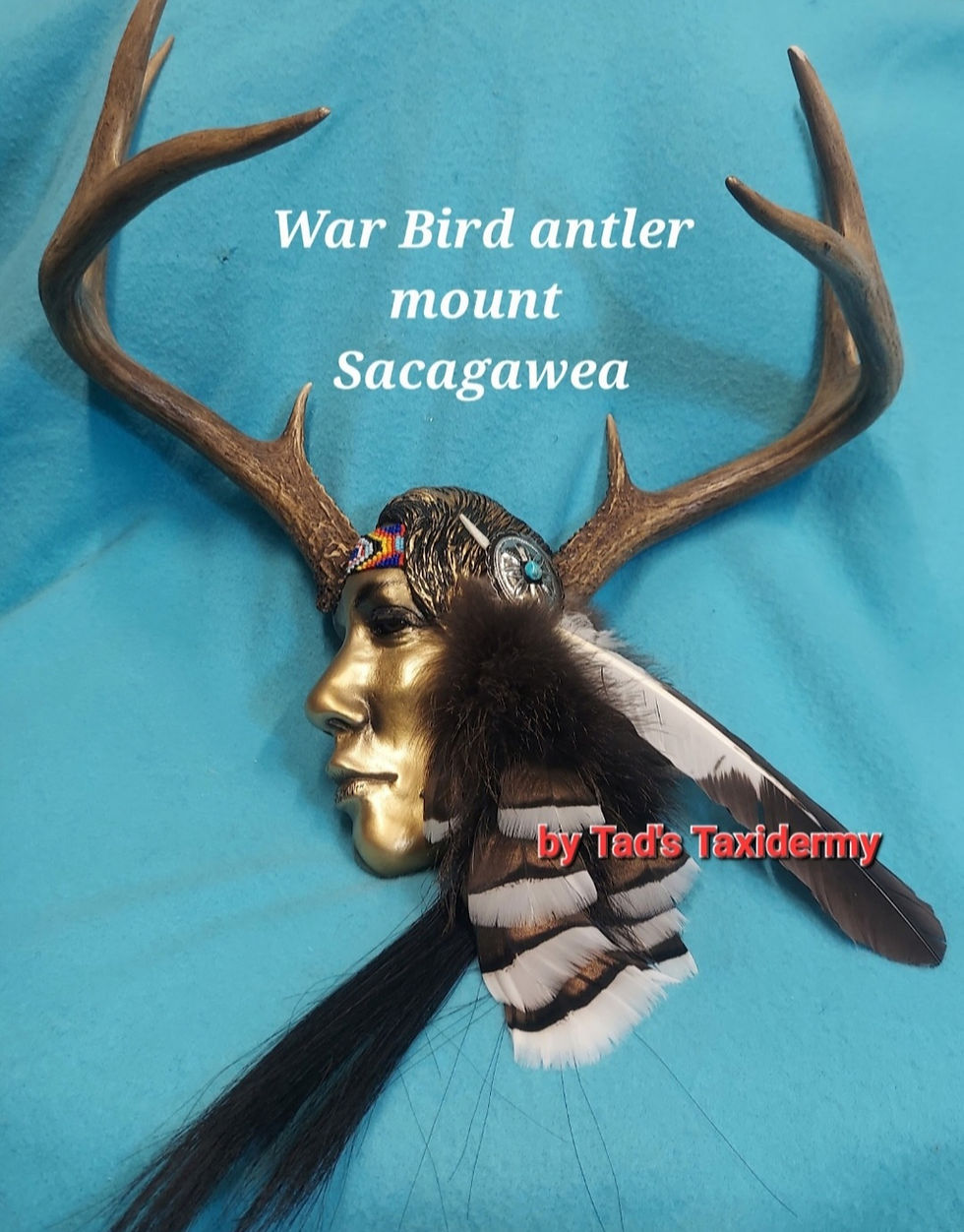 Thumbnail: Sacagawea with kit
