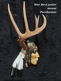 Pocahontas one antler.jpg
