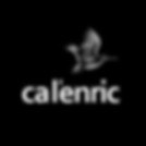 cal enric logo.jpeg