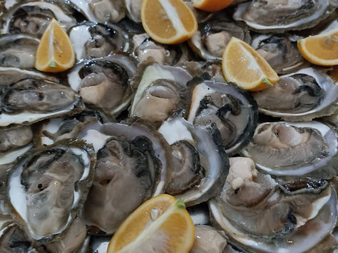 Top budget friendly restaurants to enjoy in Dubrovnik