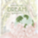 Making the Dream a Reality (3).png