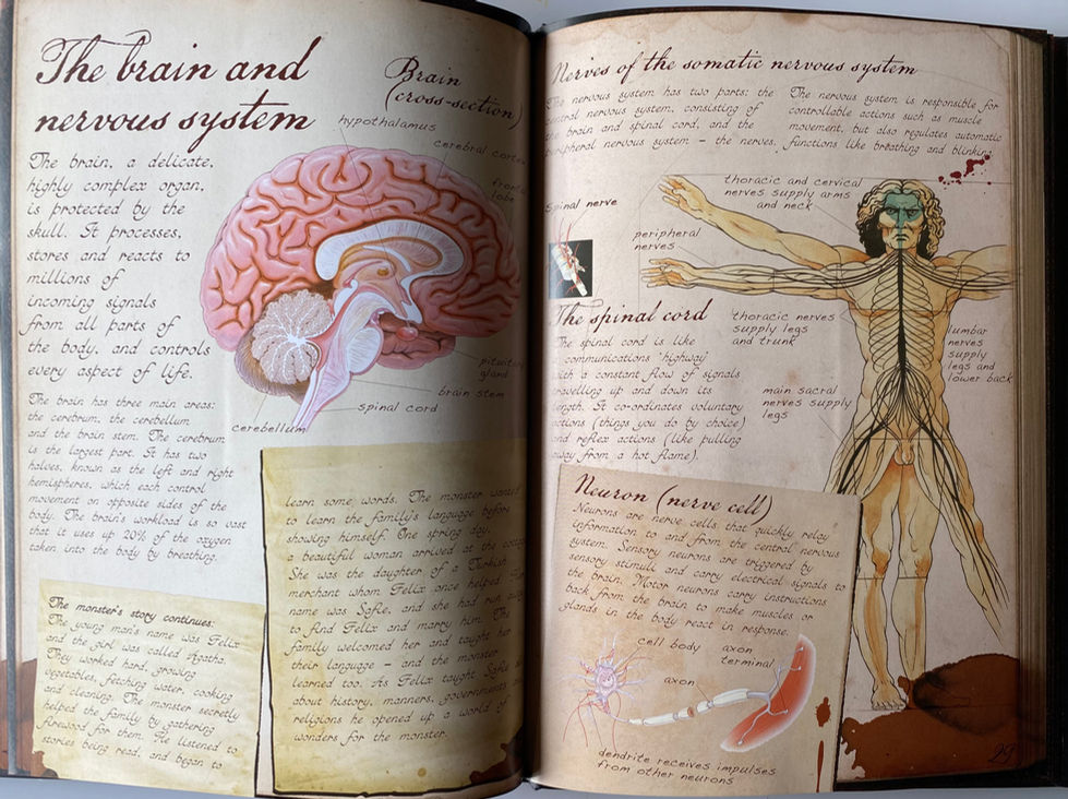 The Secret Journal of Victor Frankenstein On The Workings Of The Human Body