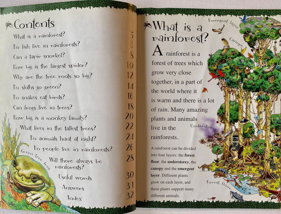 What is a rainforest? Illustrated children's book page