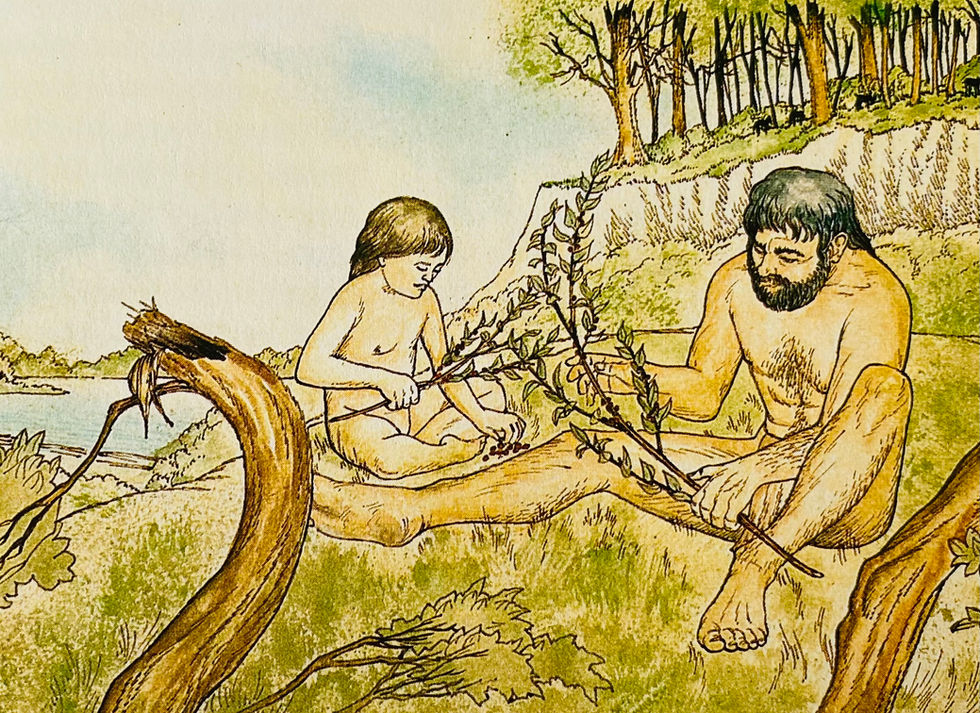 Non-fiction book illustration from A Children's History of Britain and Ireland. Old Stone Age hunter-gatherers. Man and girl stripping berries from a branch. Illustration by David Salariya