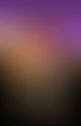 Gladiator School Blood & Fire: Children's Book Cover Set in A Gladiator School in Ancient Rome 79AD Series Created & Designed By David Salariya