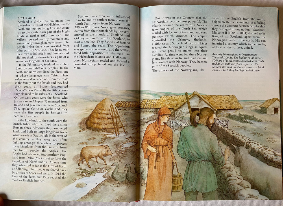 Viking age farmers in Shetland Islands with pigs, geese and cow, An early Norwegian settlement in the Shetland Islands. The buildings are of local stone, thatched with reeds and tied down with weighted ropes. To the settlers, the land must have been as bleak as the land they left behind in Norway.. Illustration by David Salariya