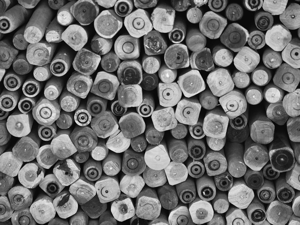 a black and white photo of a pile of logs